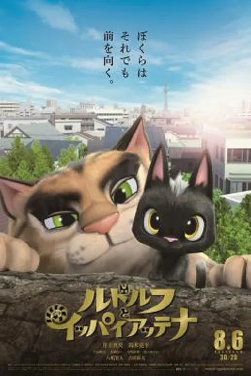 ดูอนิเมะ Rudolf The Black Cat (2016) รูดอล์ฟ เหมียวน้อยผจญเมือง